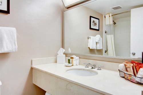 Wyndham Garden Gainesville image 2