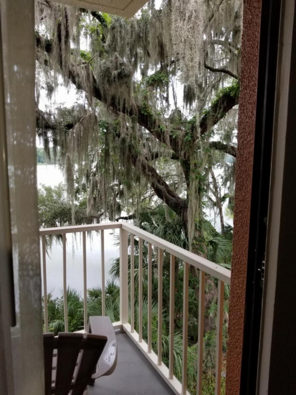 Wyndham Garden Gainesville Image 24