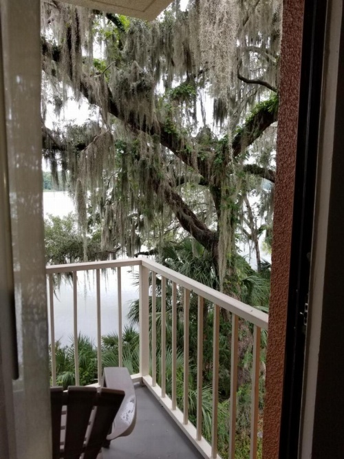 Wyndham Garden Gainesville image 24