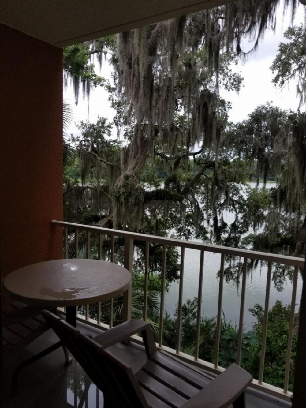 Wyndham Garden Gainesville Image 25