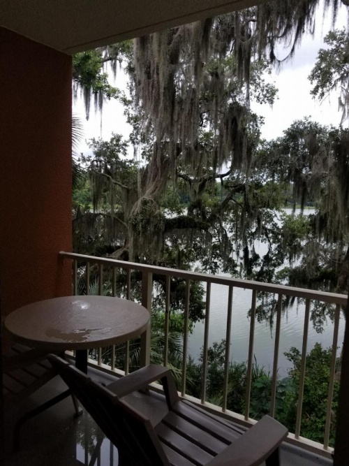 Wyndham Garden Gainesville image 25